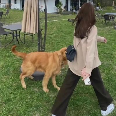奶站风波 在线观看